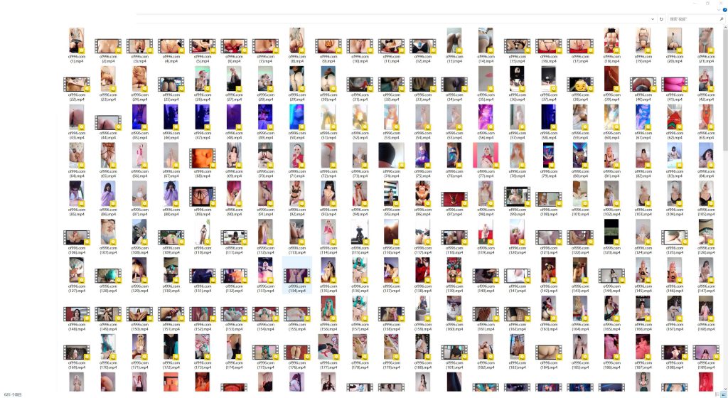 欧美极品福利姬博主 aerytiefling(AeryTiefling)onlyfans资源合集下载【7297P+625V】 24 22015518541