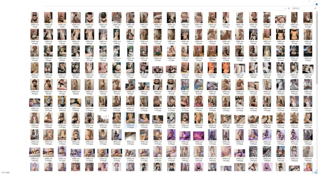 欧美高颜值福利姬 pastelhaze(Sine ✧ Top 1,7%)onlyfans资源合集下载【433P+78V】 23 18025732327