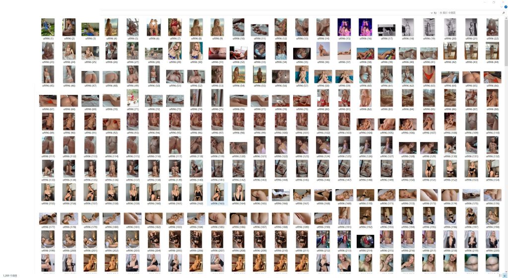 欧美极品美女博主 nancyace(nancyace)onlyfans资源合集下载【1289P+239V】 23 14032112921