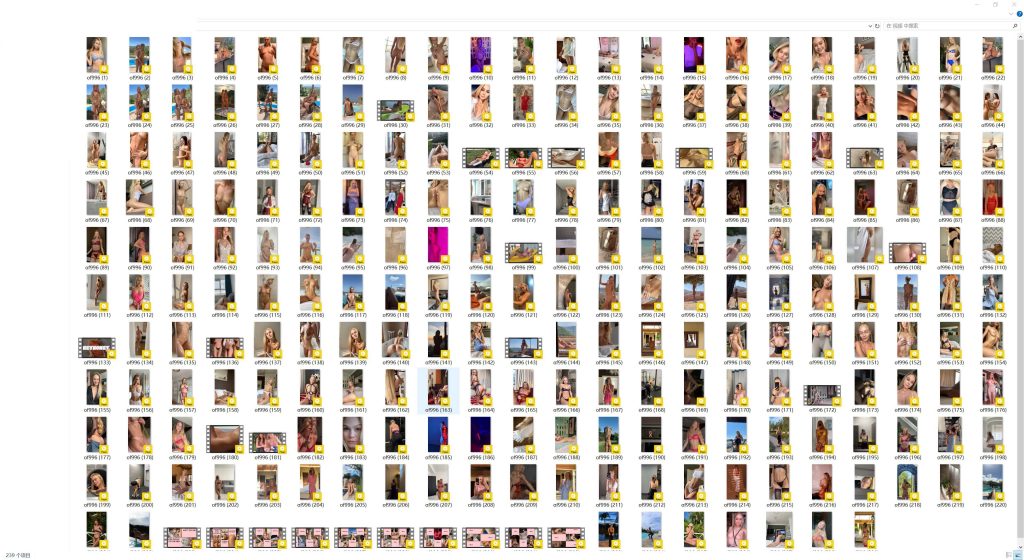 欧美极品美女博主 nancyace(nancyace)onlyfans资源合集下载【1289P+239V】 24 14032117369