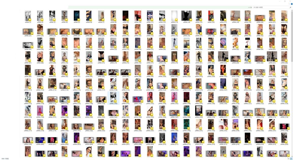 瑞典大胸朋克博主 honeybabesugarpiie(🍯🇸🇪 Honeybabe 🇸🇪🍯)onlyfans资源合集下载【1444P+666V】 24 06003626952