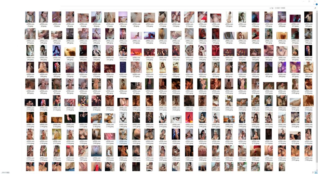 台湾网红博主 vice_1229(Vice 拜斯|你的賽博女友 ✦ Your Cyber GF.)onlyfans资源合集下载【218P+25V】 23 12005031867