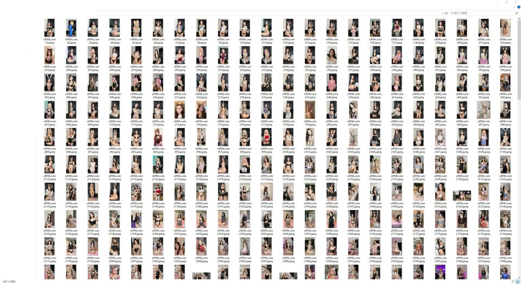 加拿大爆乳福利姬博主 ari_n3ko(Ari 🌸)onlyfans资源合集下载【667P+25V】 23 26043859675