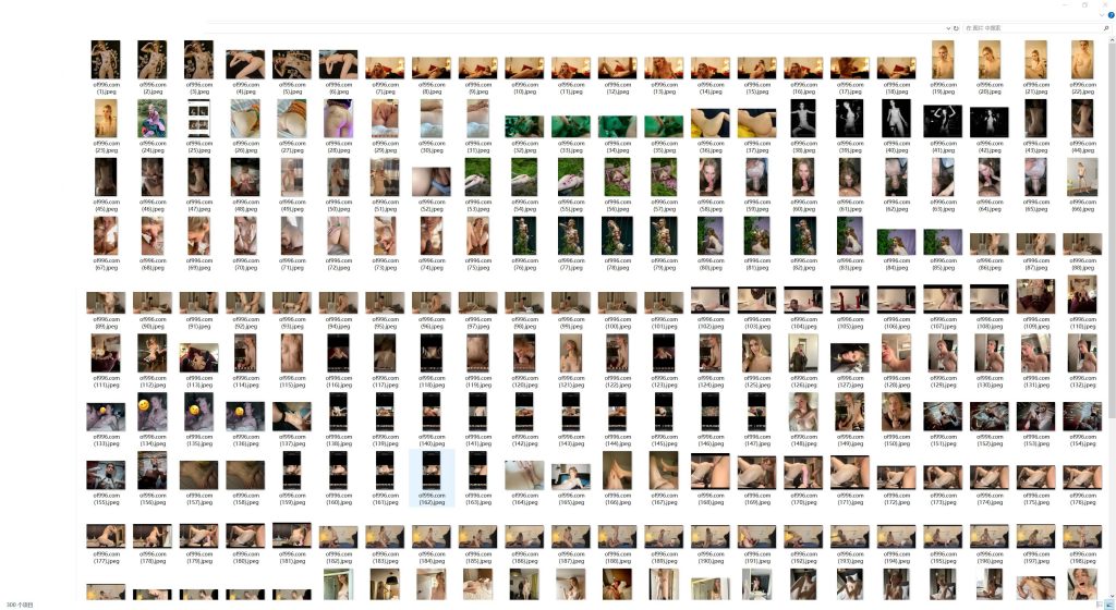 欧美高挑OF博主 nausi.love(Nausi Love)onlyfans资源合集下载【300P+129V】 23 21064206512