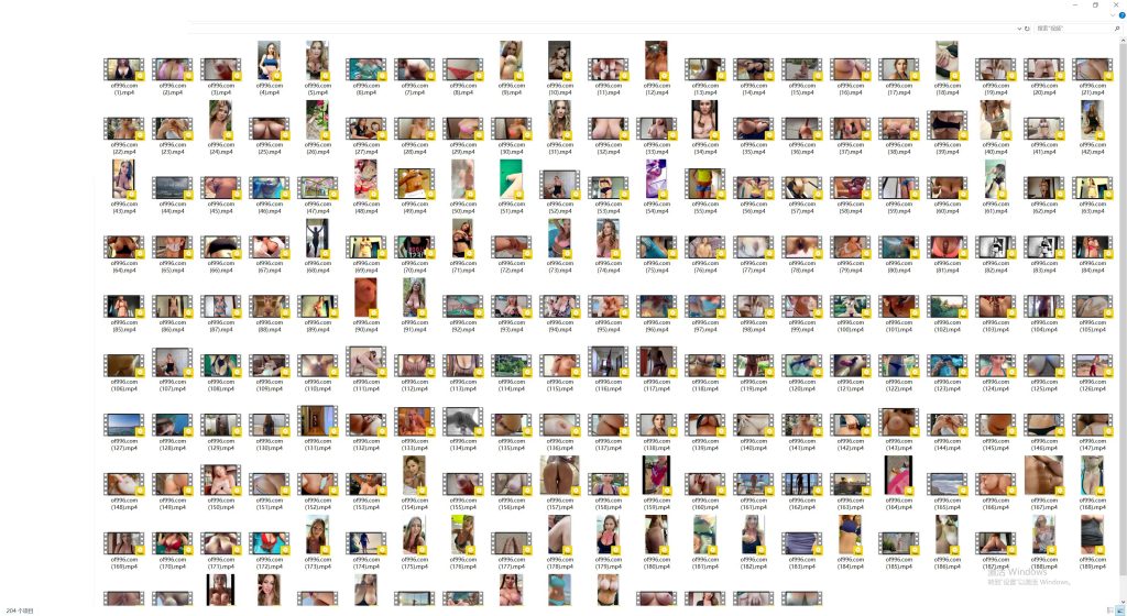 欧美爆乳御姐博主 loonavip(Loon VIP Sex Therapist)【94P+204V】 24 20012110901